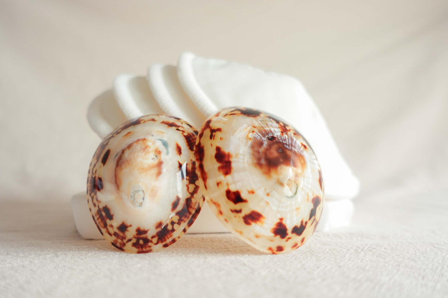 Borstvoeding Comfort Set