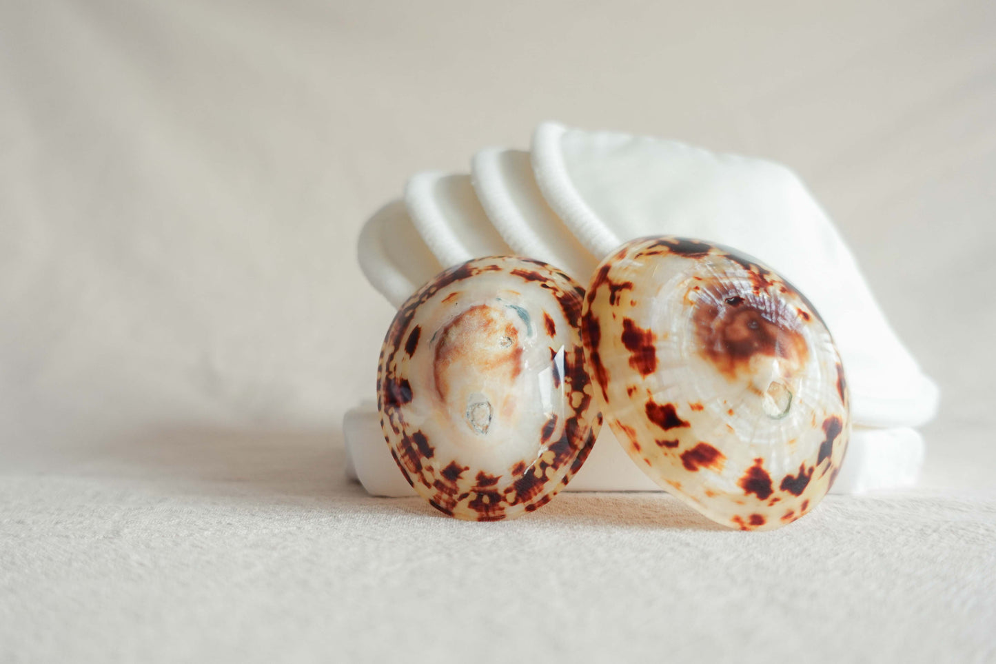 Borstvoeding Comfort Set